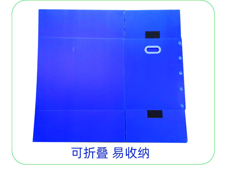 無扣 (1)